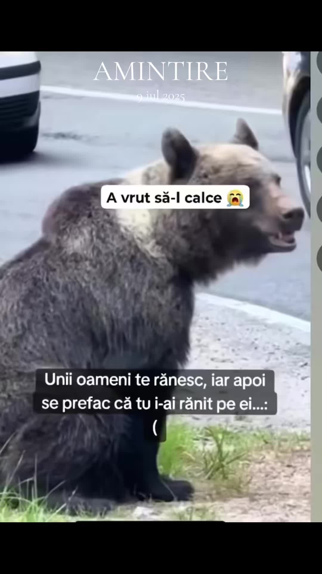 @Mădălina Mailat 💎