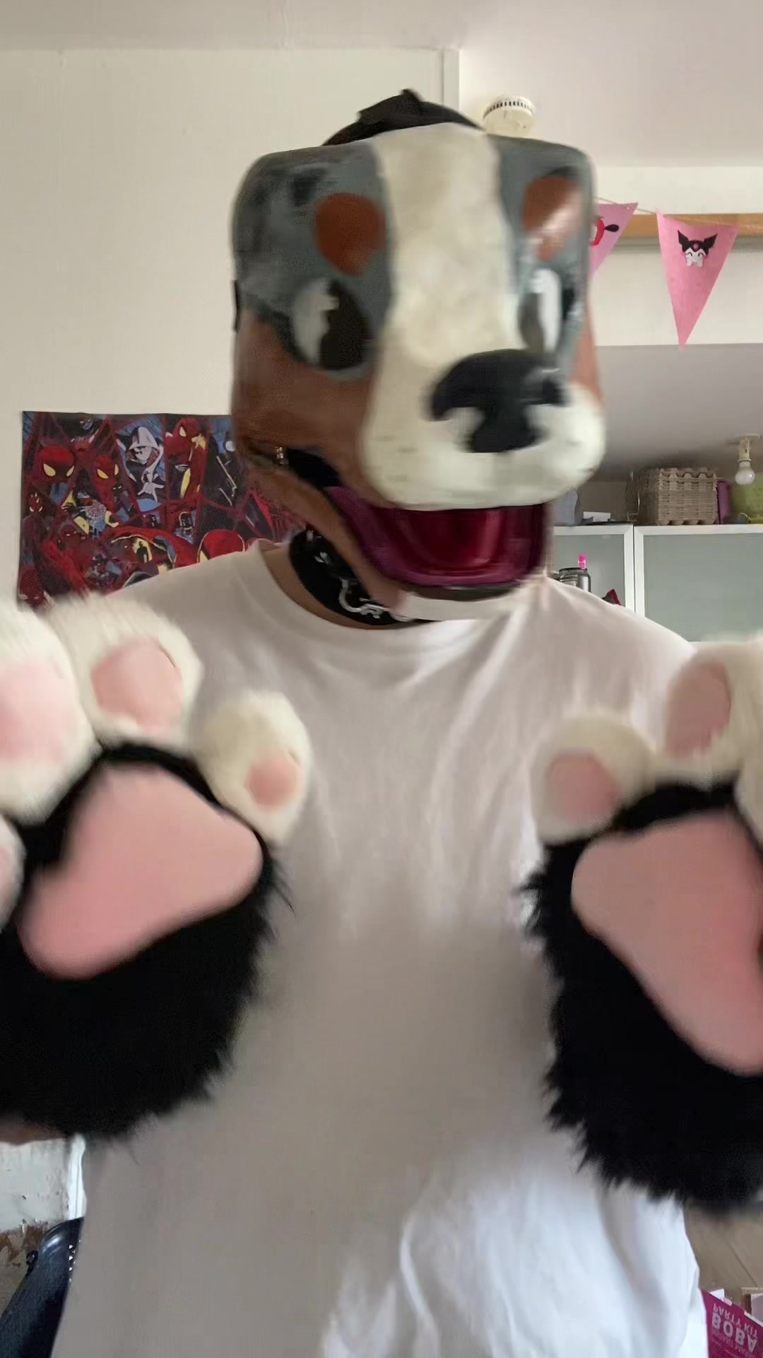 @⋆˚࿔ ☘️ 𝐓𝐫𝐞𝐟𝐥𝐞 🐾˚⋆
