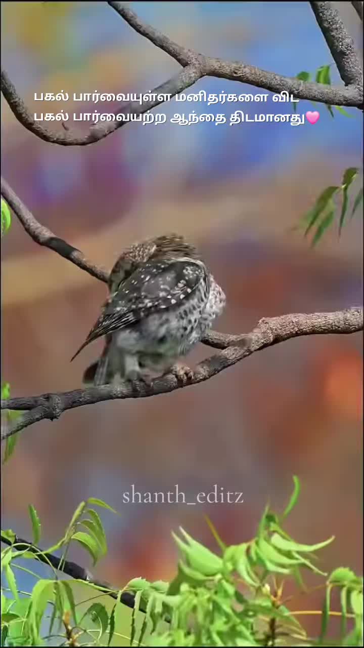 @Shanth_editz