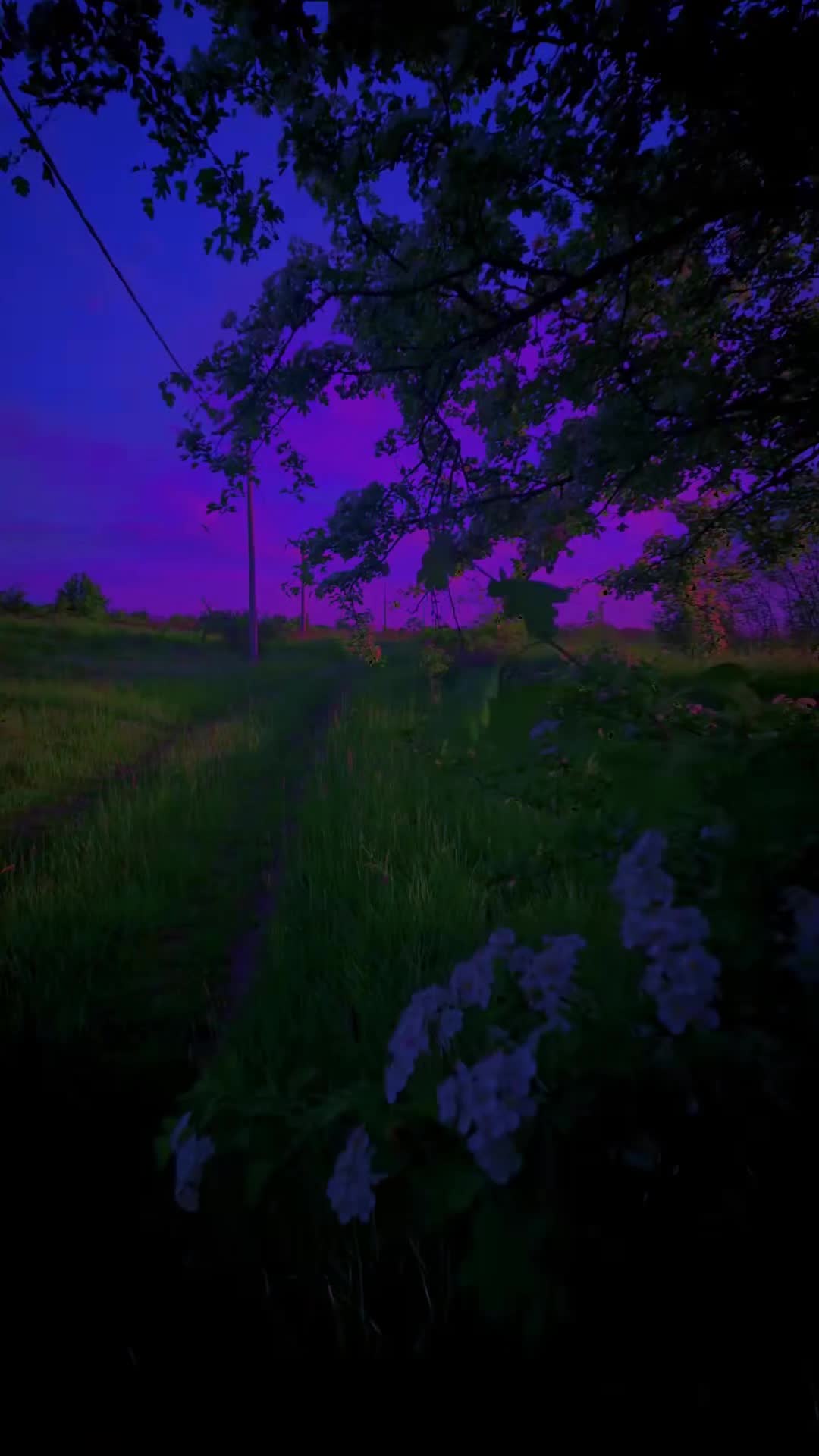 @NatureVibes0
