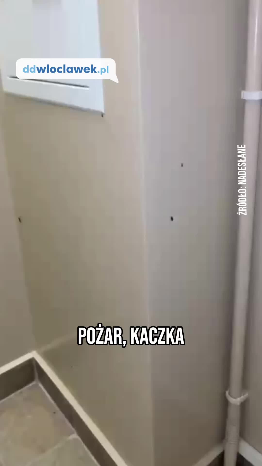 @ddwloclawek