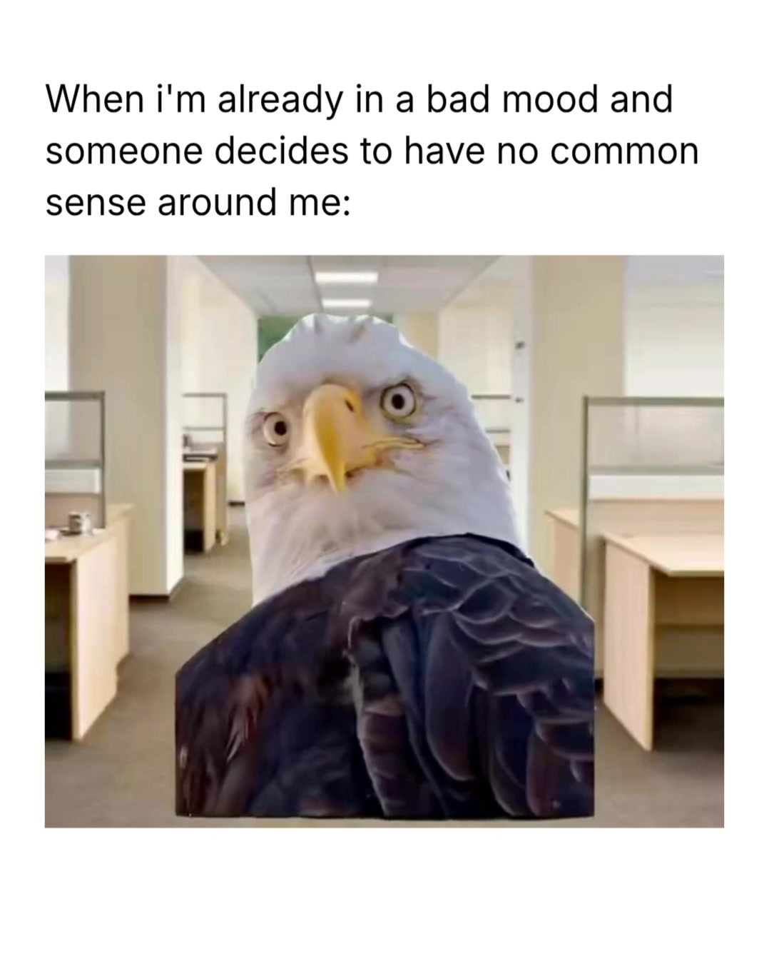 @Memezar