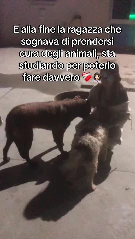 @𝒾𝓇𝒾𝓈 🎀