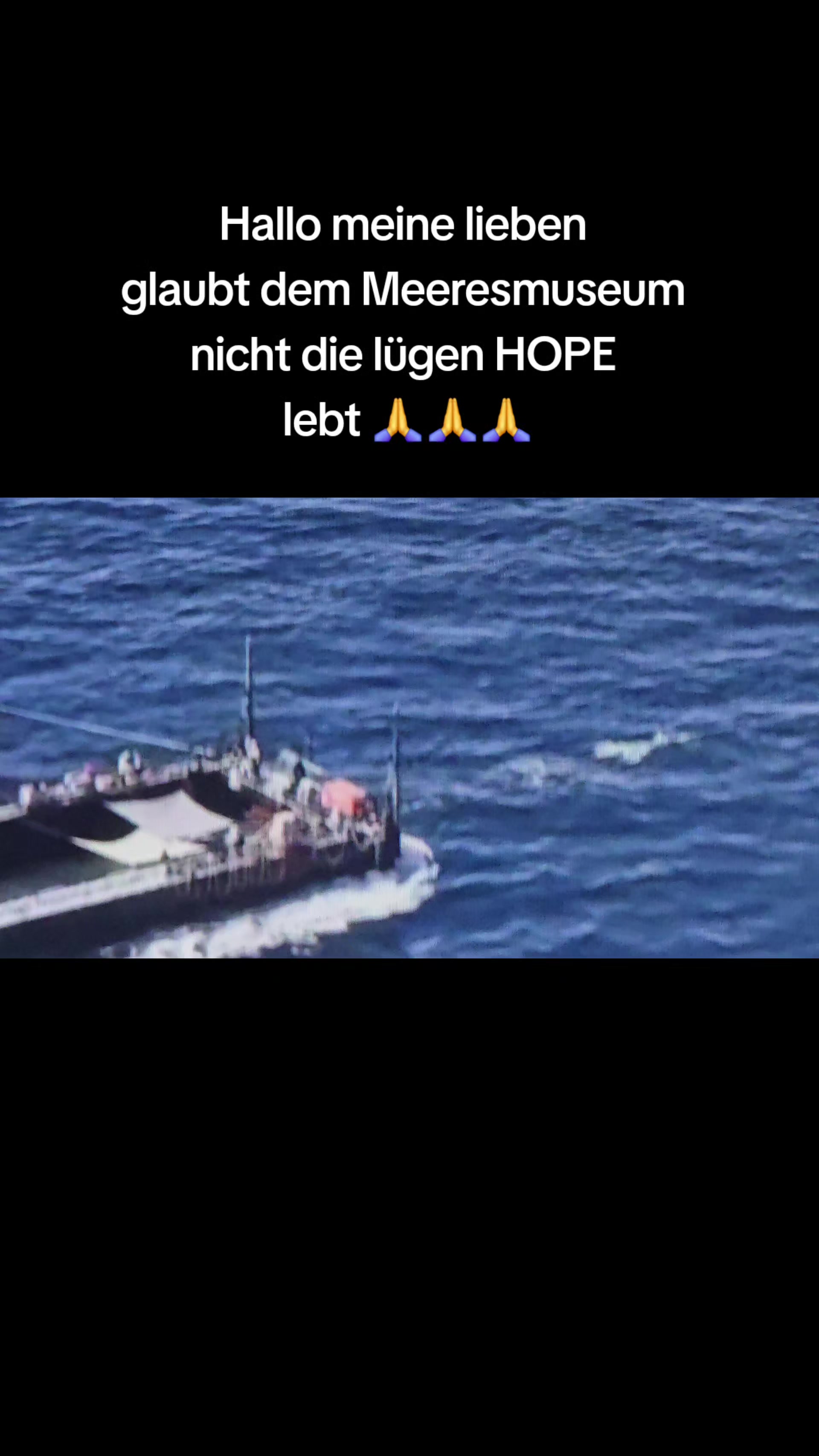 @Hope_for_the_Animals 🇦🇹