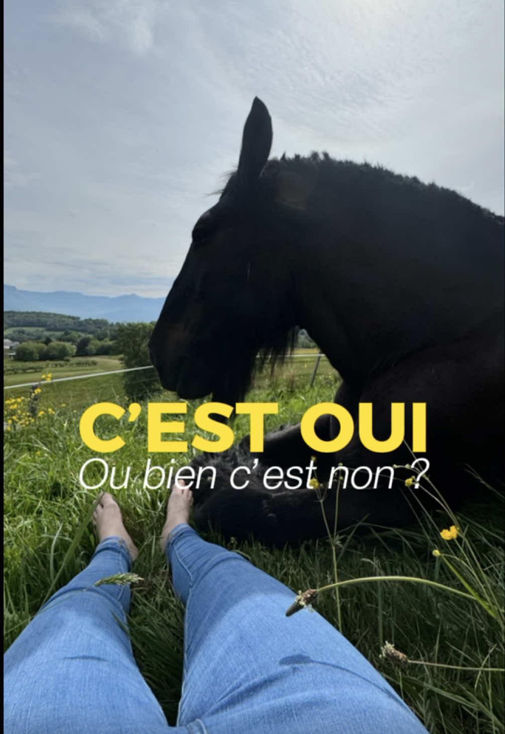 @Untraitdecheval