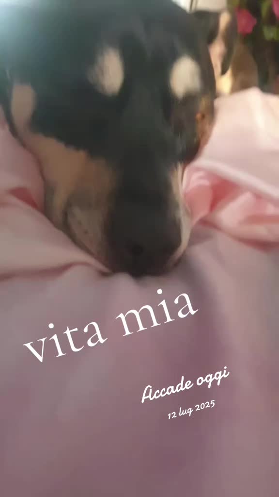 @Elena Marra
