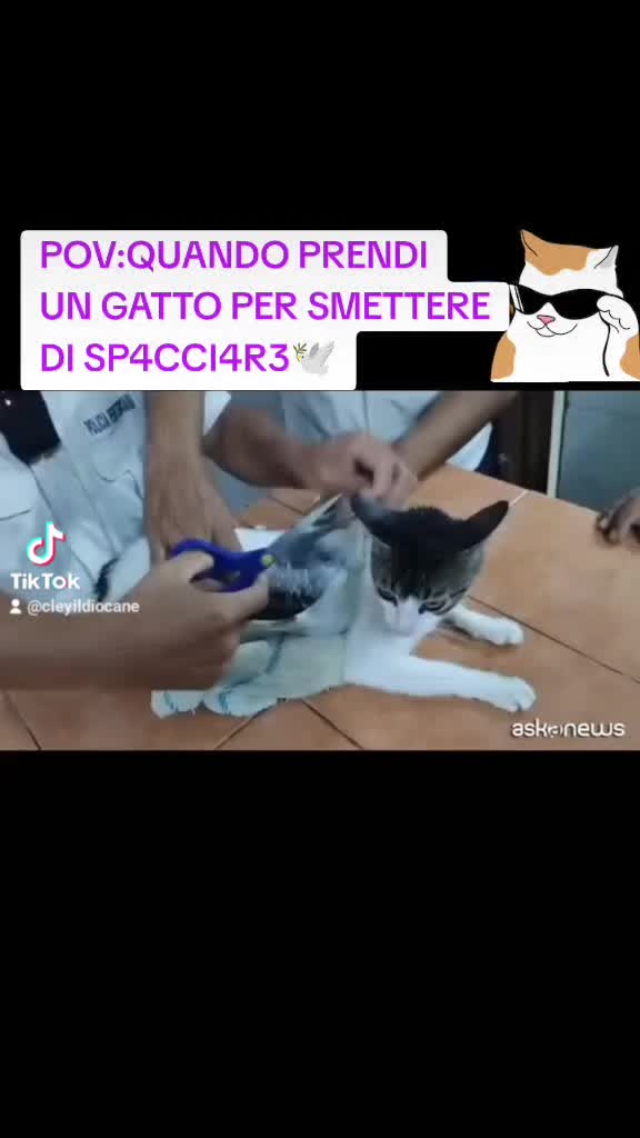 @cley230997