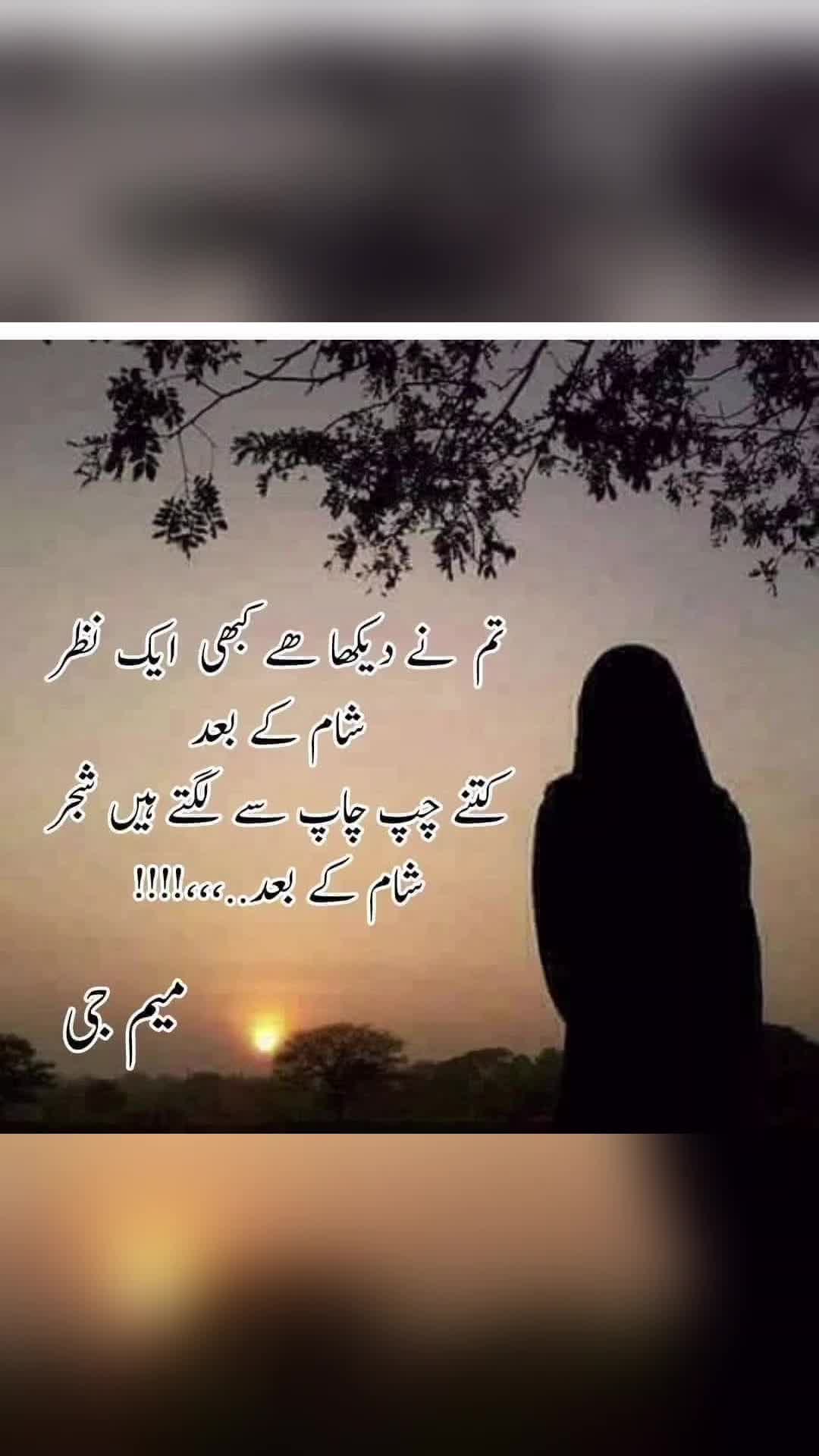 @🌹MeEm jEe SHeIkH میم جی 🌹Uk