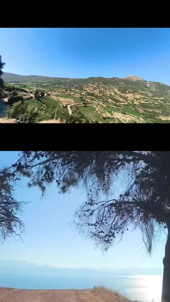 @Βασιλική Νικολάου