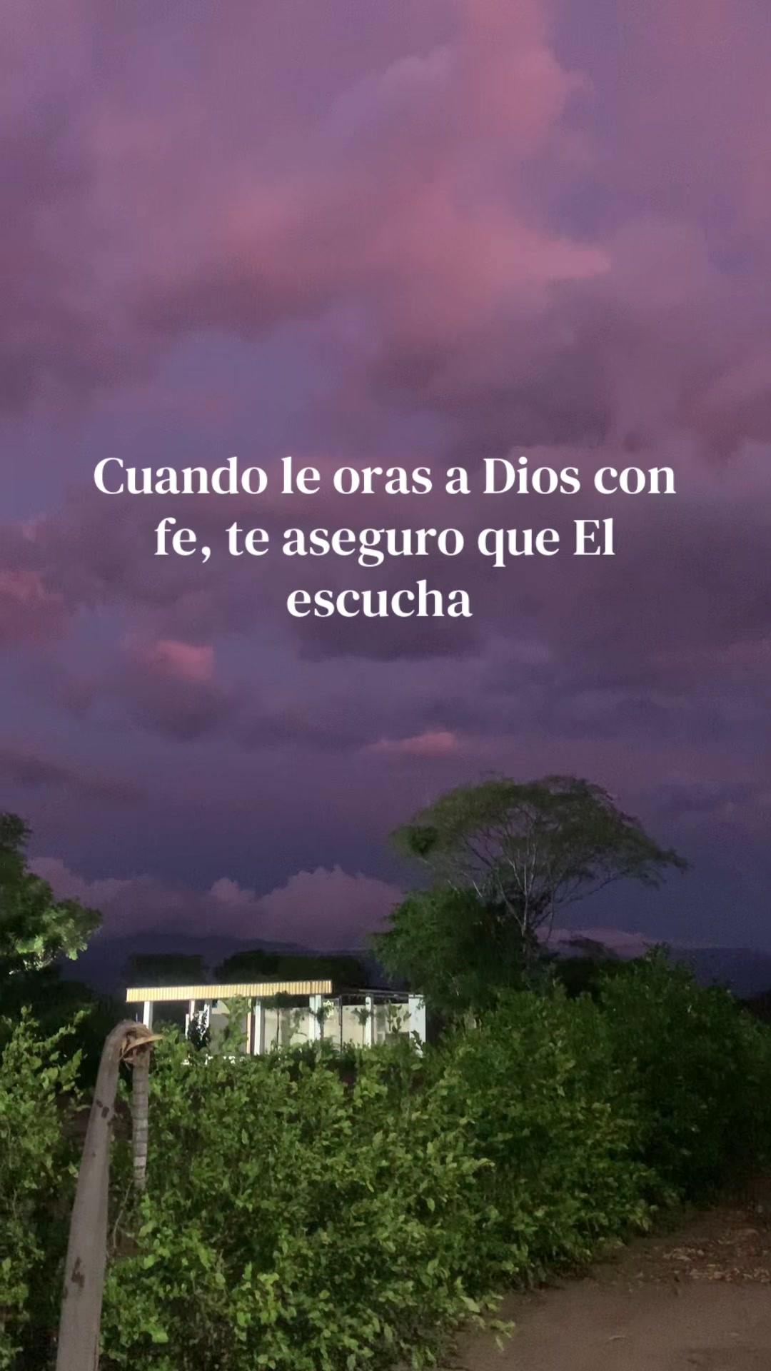 @Francis