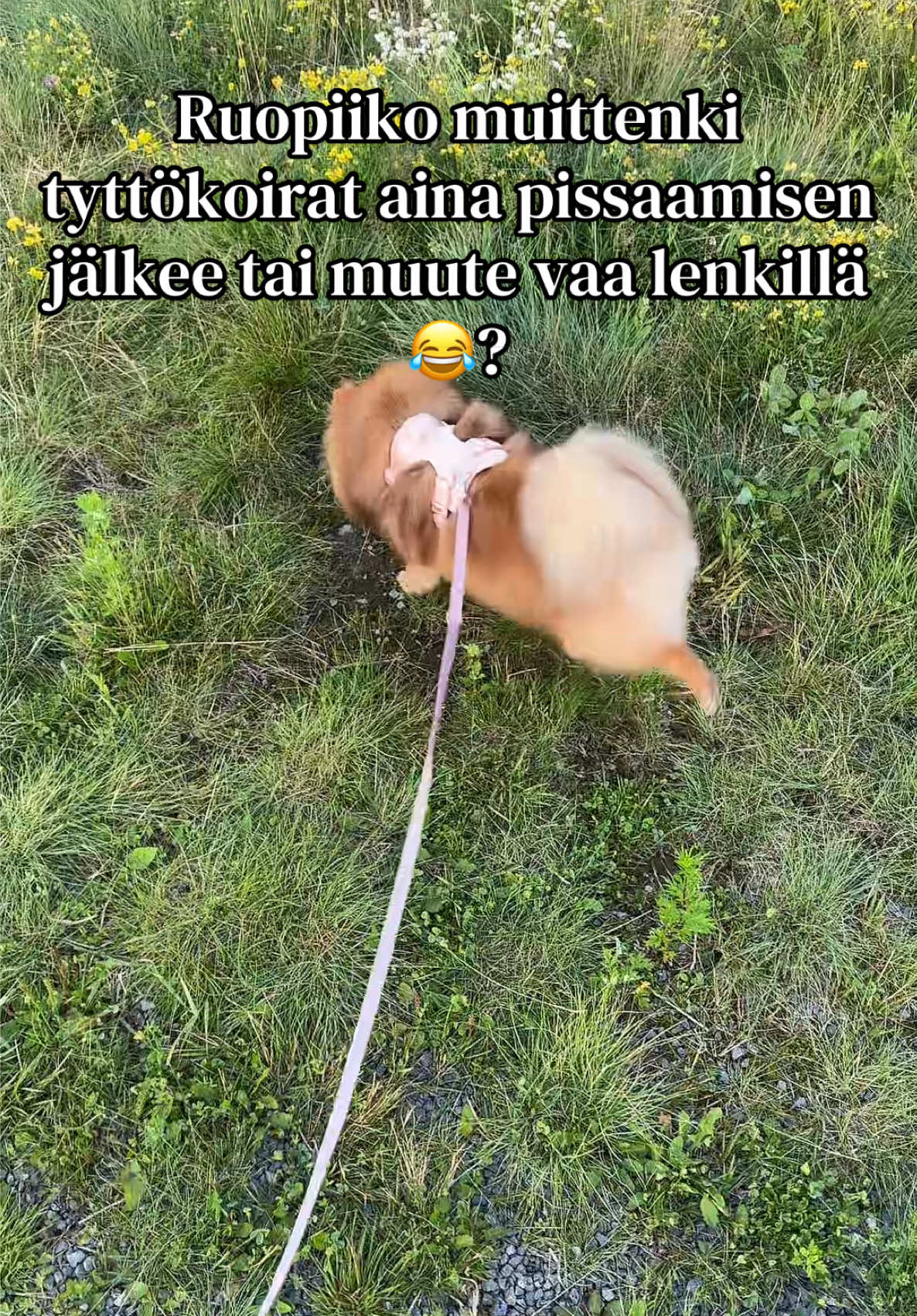 @Vimpulano