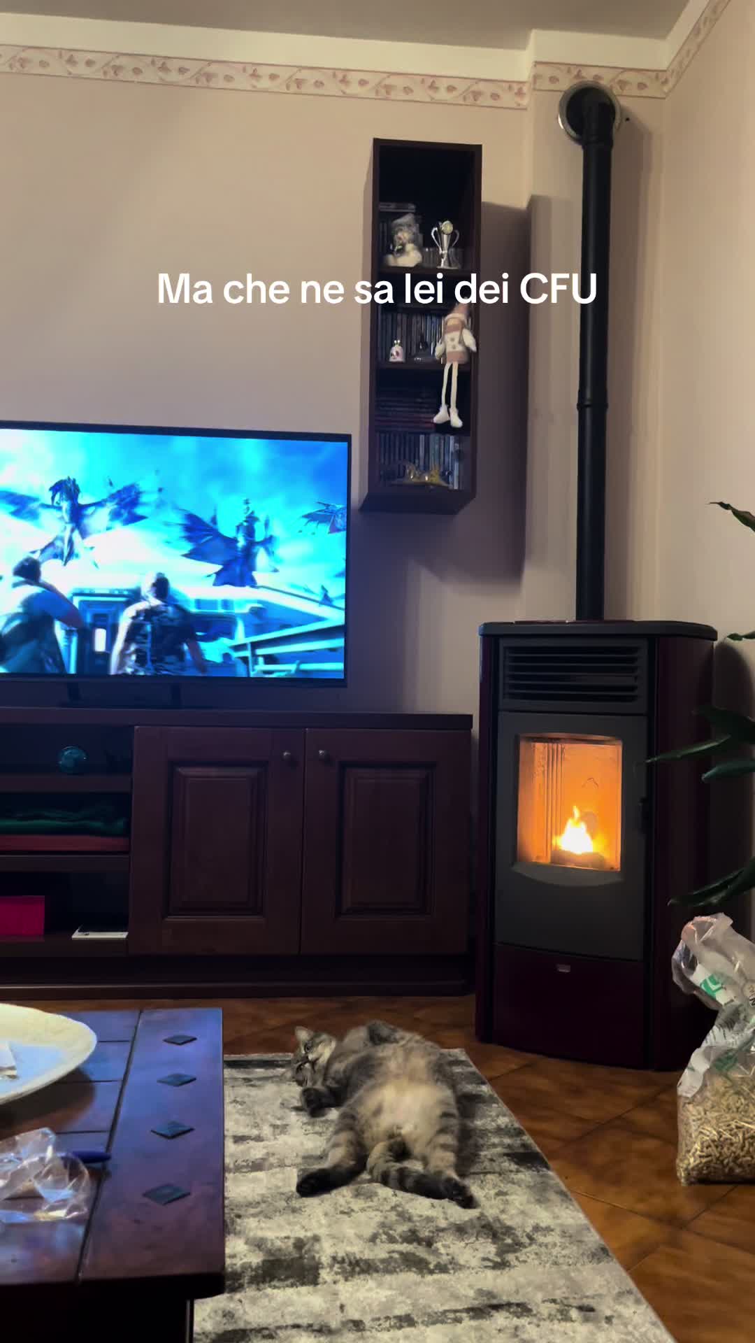 @Mauro