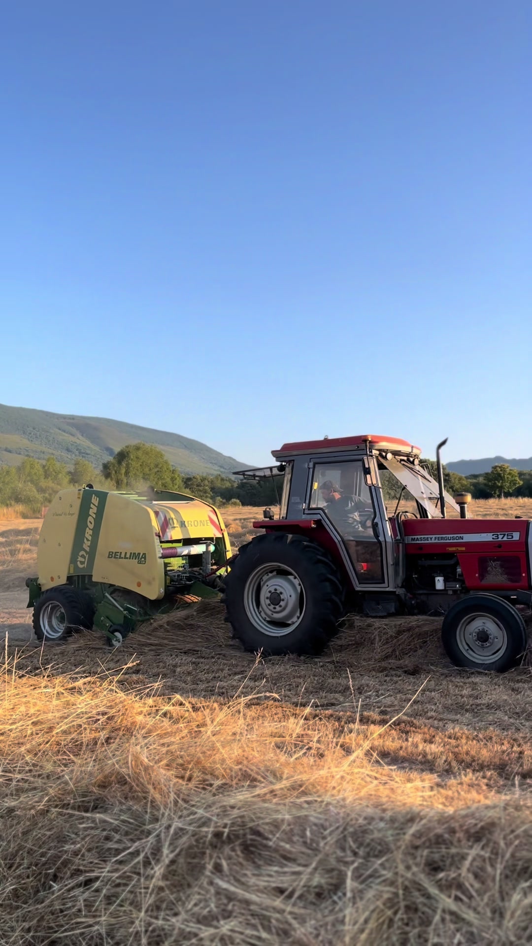 @RuralFlow🌾🐑🥔