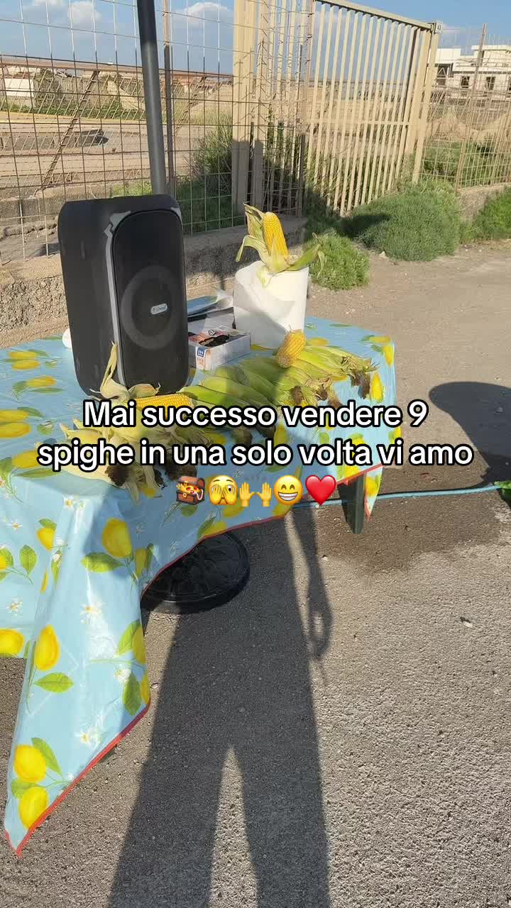 @🤴R&egrave; de lavoro🤴