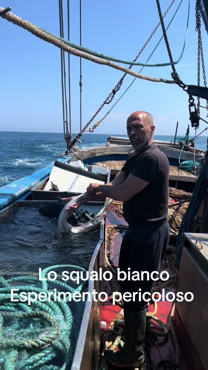 @AngeloMastra