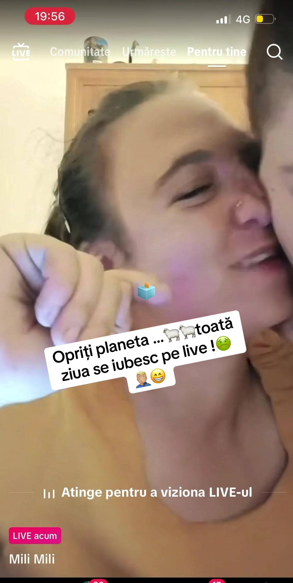 @Cutia pandorei 🗳️