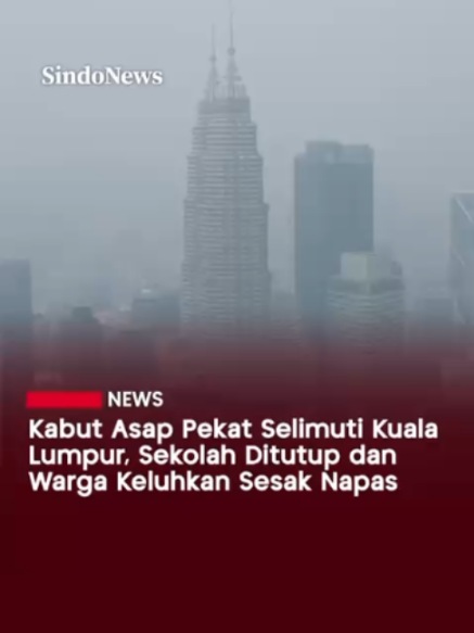 @Sindonews