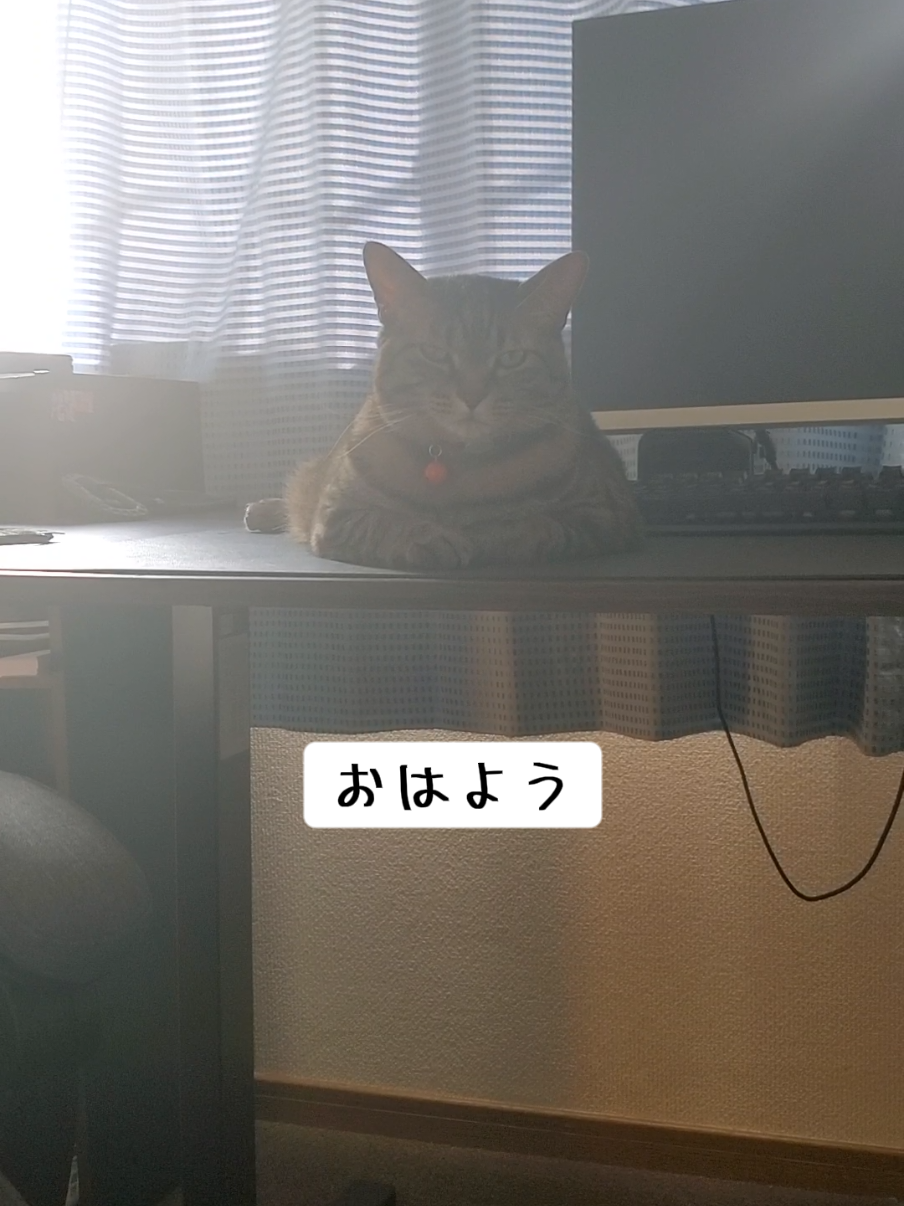 @😻kazuki😻