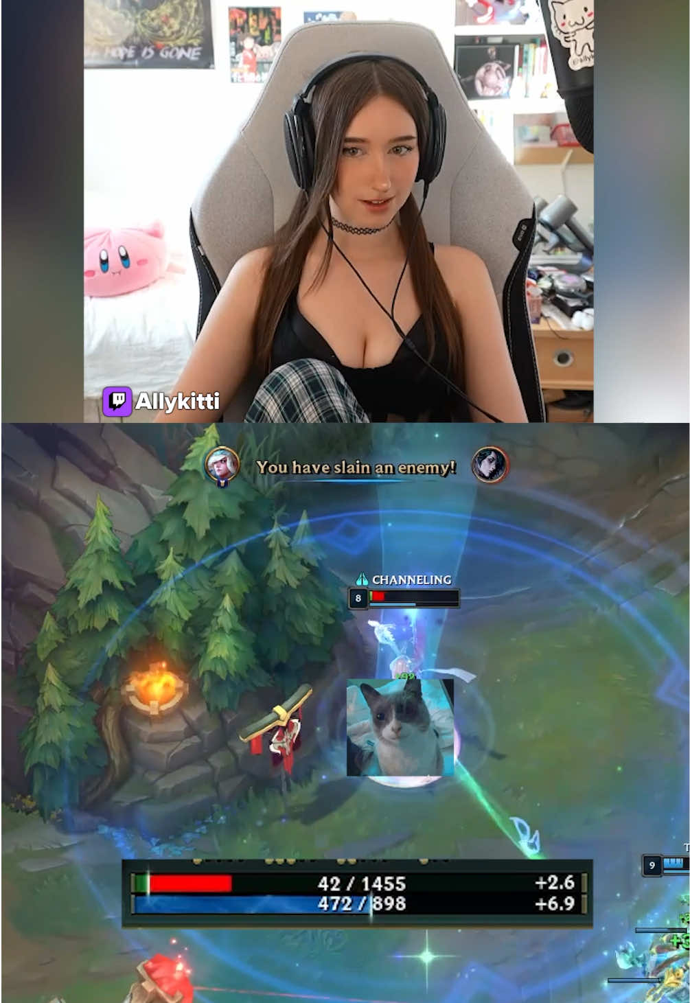 @twitch.tv/allykitti