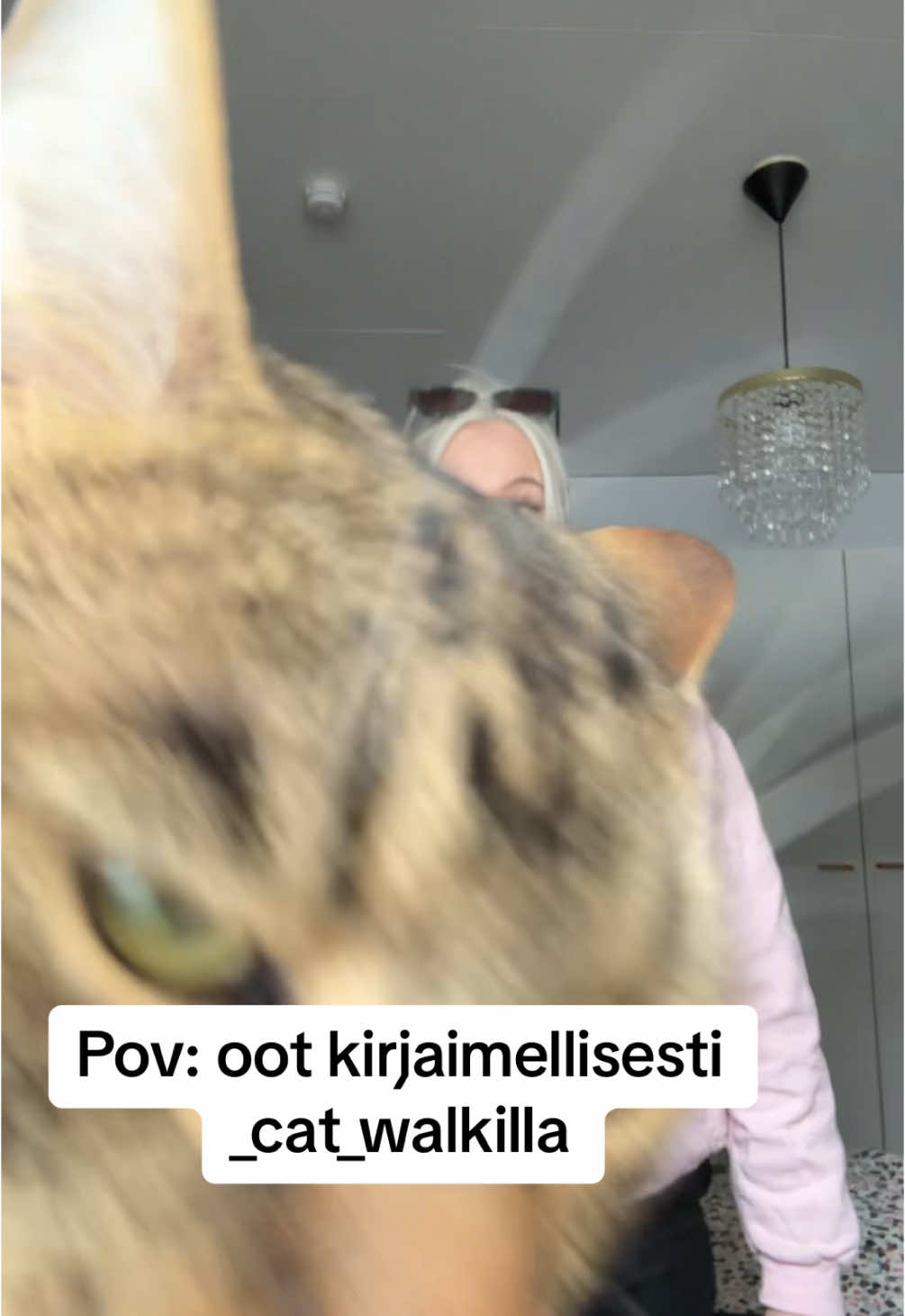 @Bosseinmoguli
