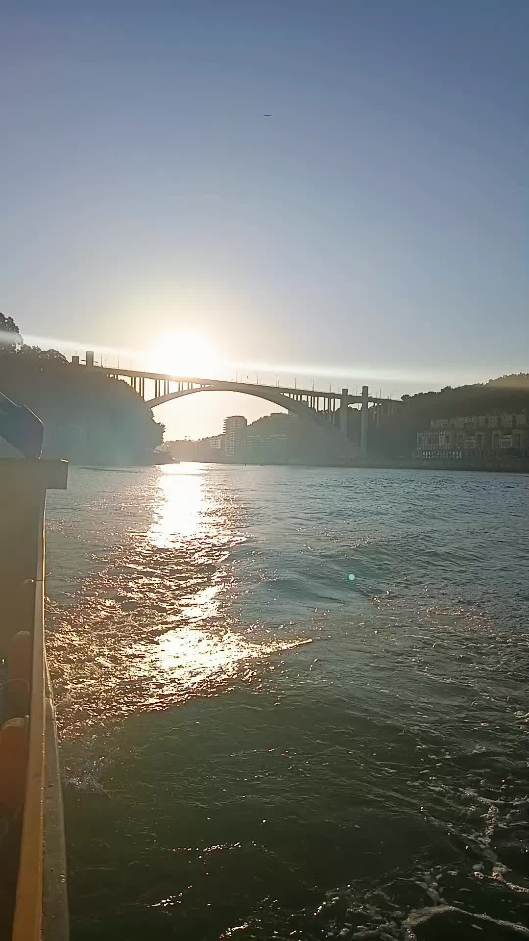 @porto ribeira