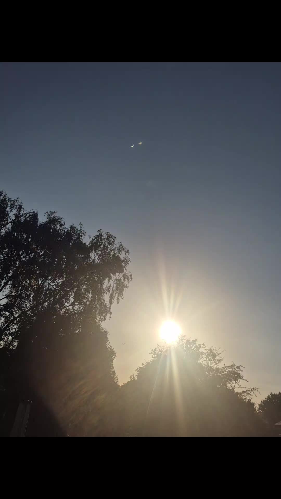 @star786