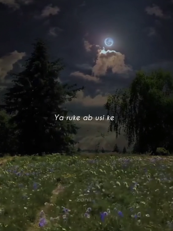 @ᶻᵘⁿⁱⁱ~