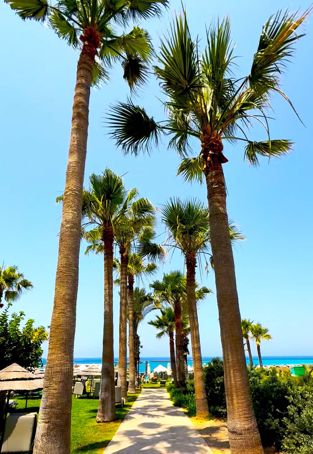 @Cyprus