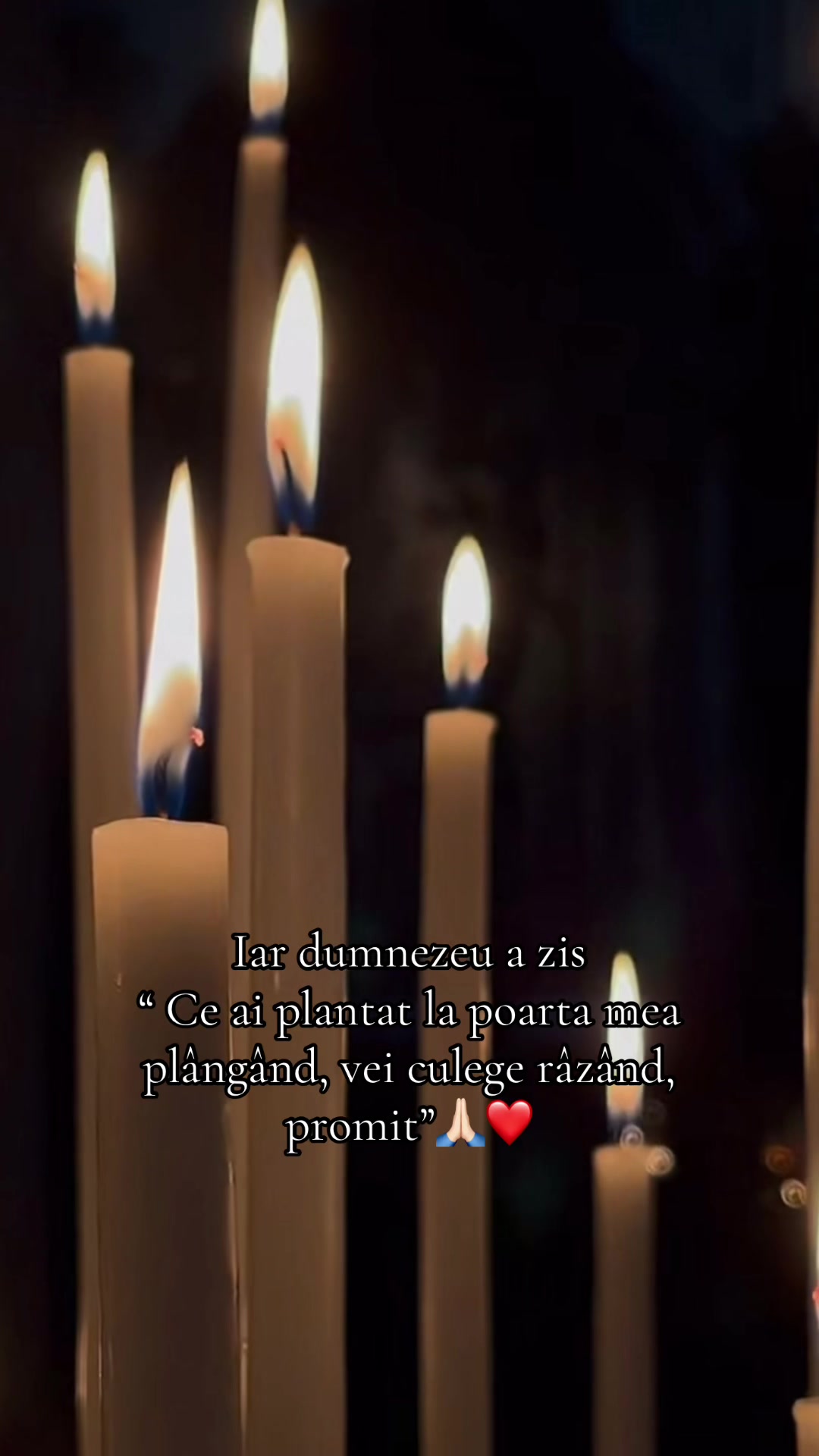 @❤️🦋Ana_M6🦋🤍