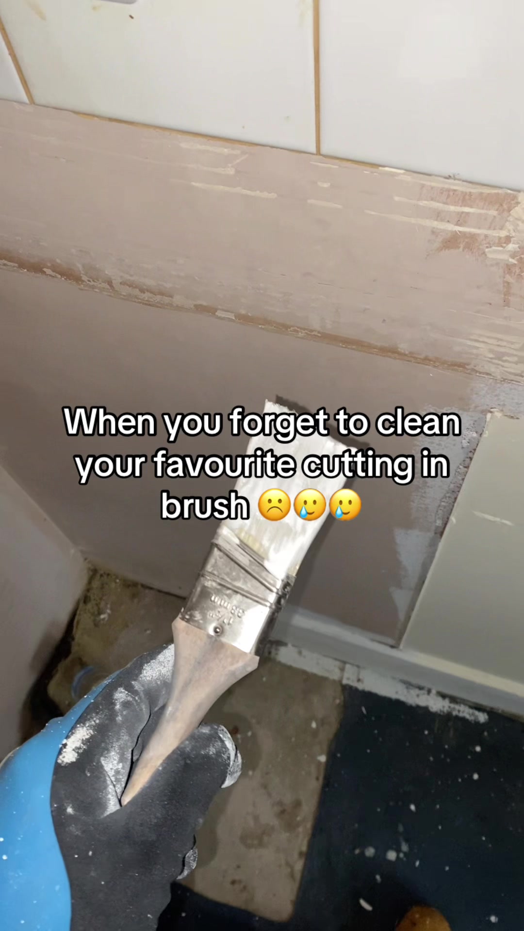 @C🐝