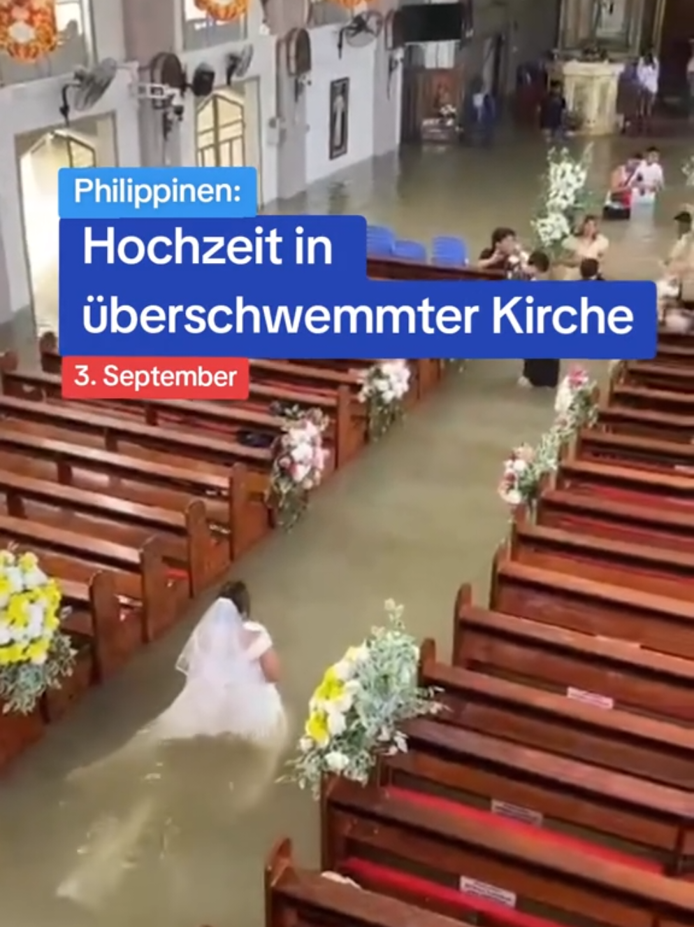 @Zeit im Bild - ZIB