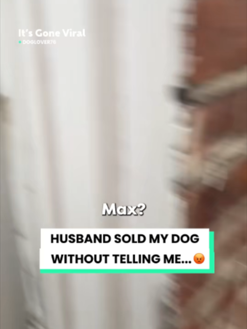 @Go Fetch