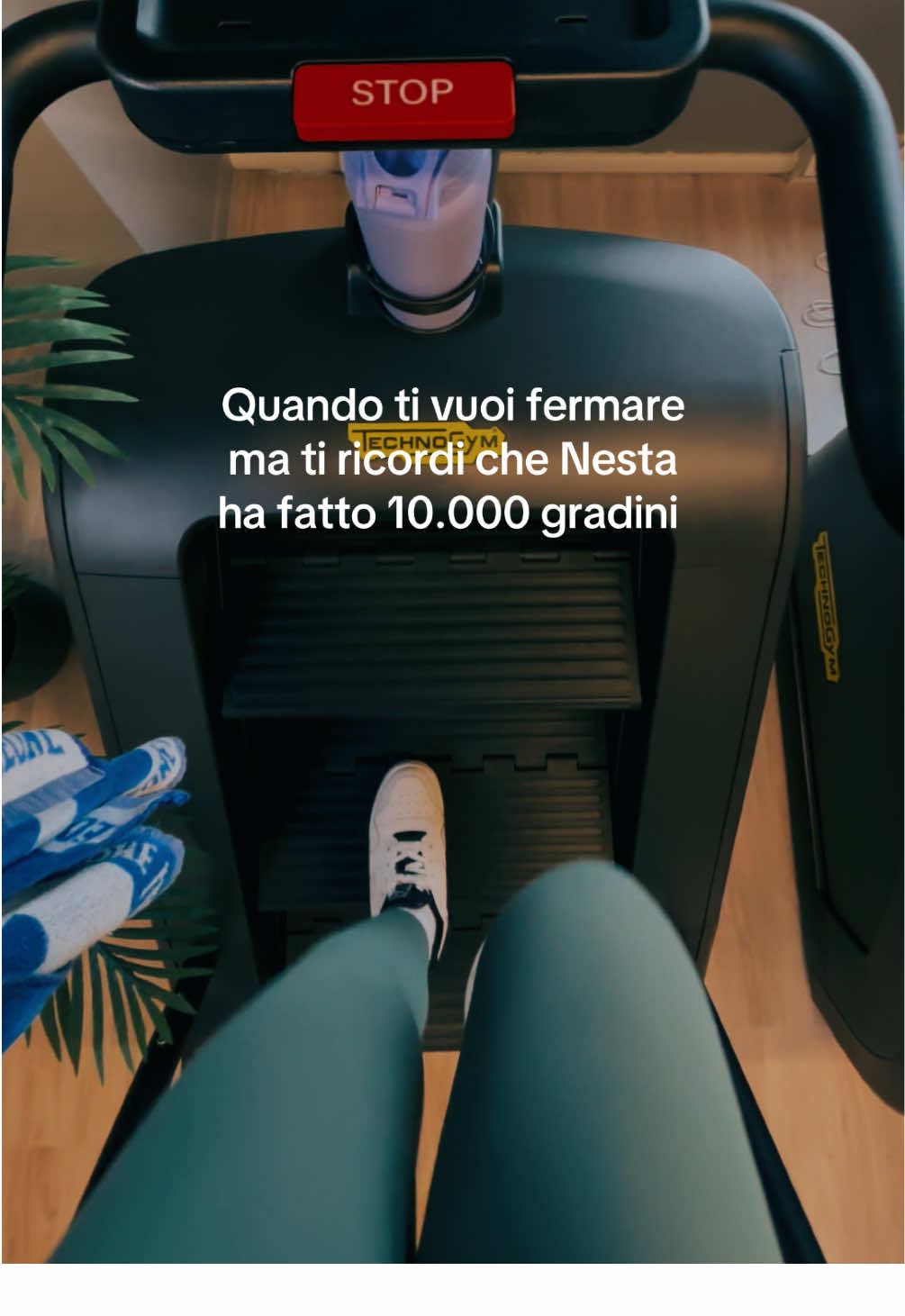 @Alice Gravellino