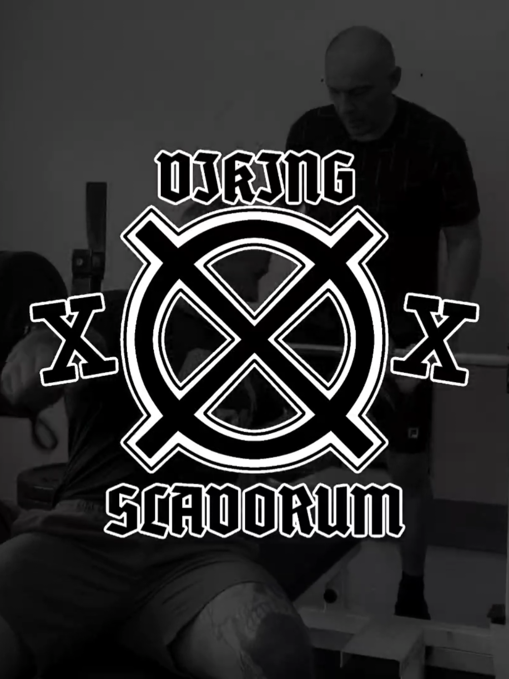 @viking slavorum