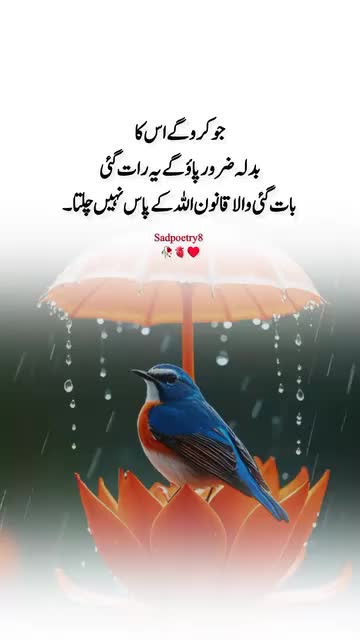 @shab 2017