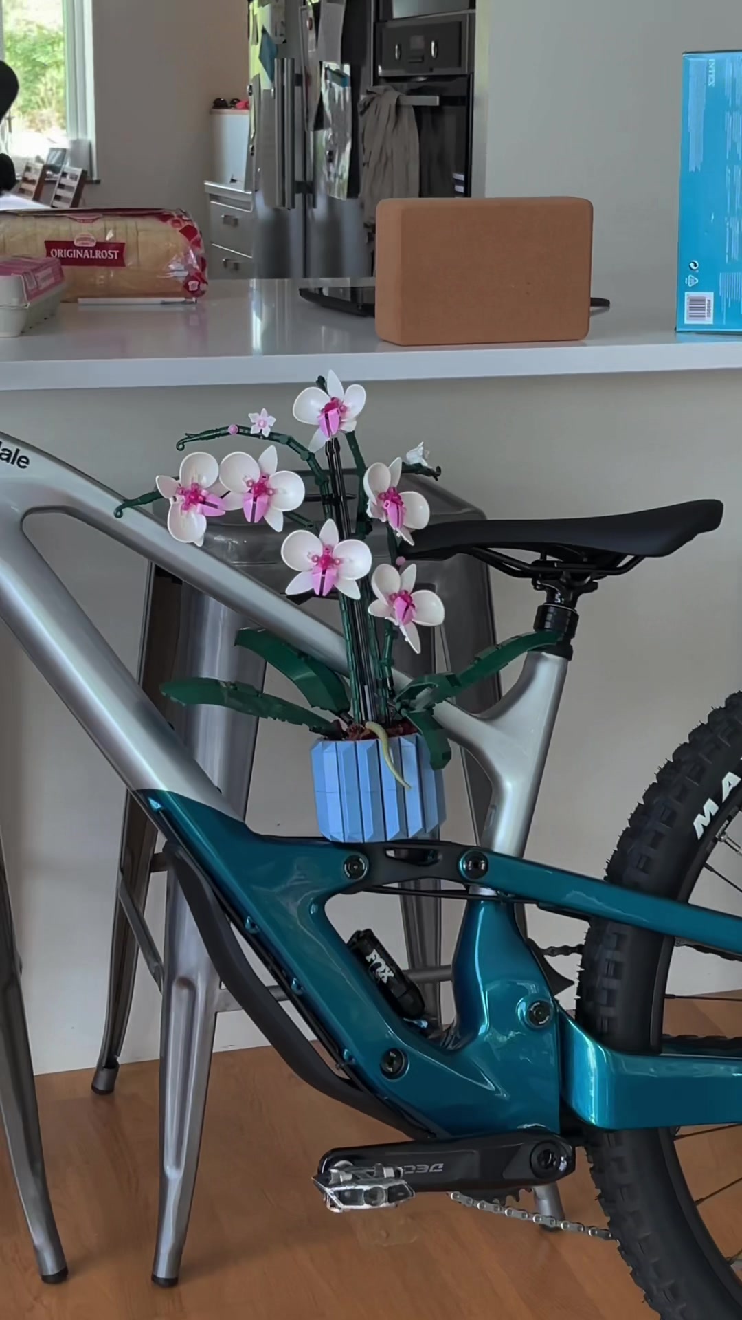 @dogge_mtb