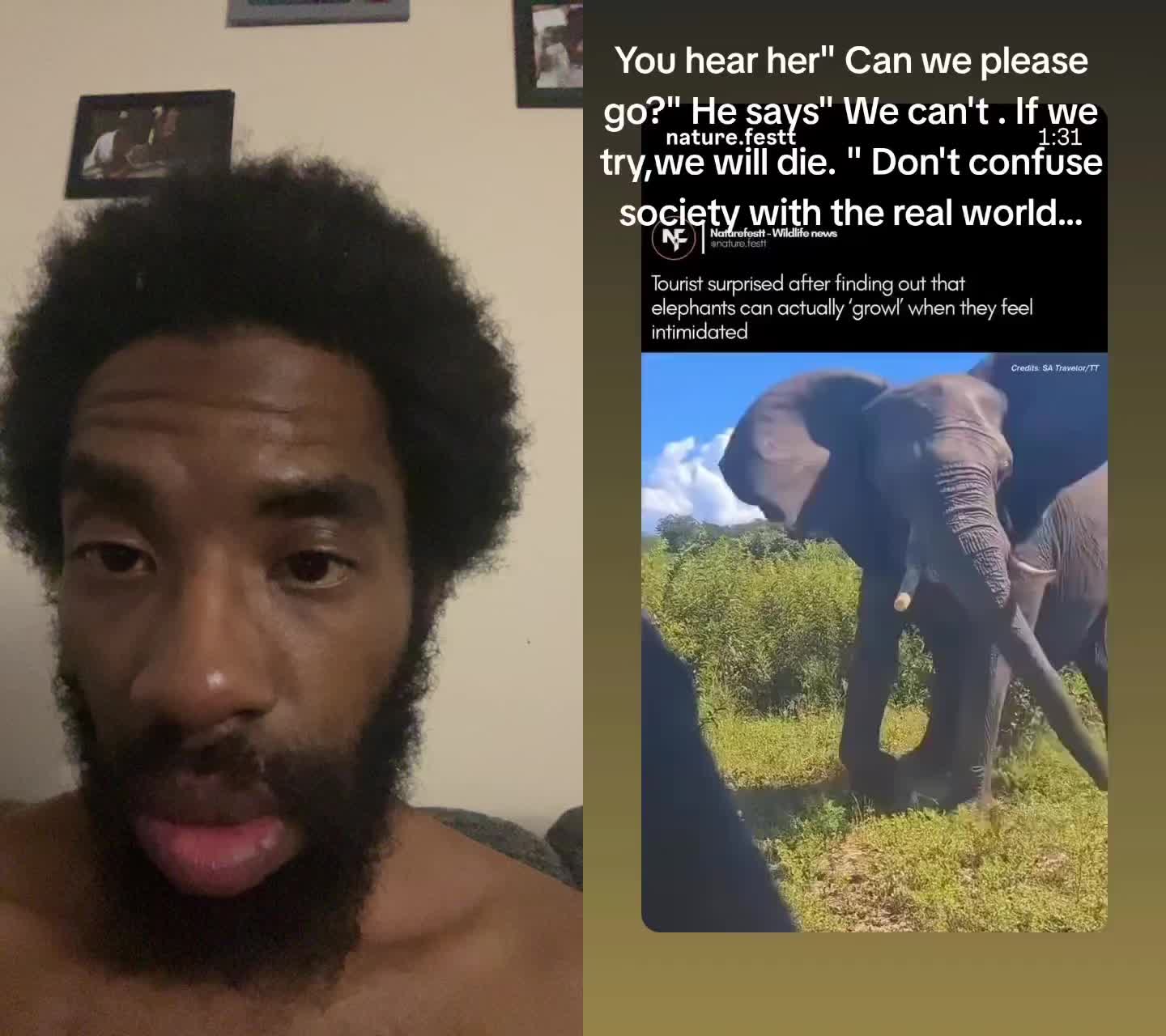 @PewterOdin