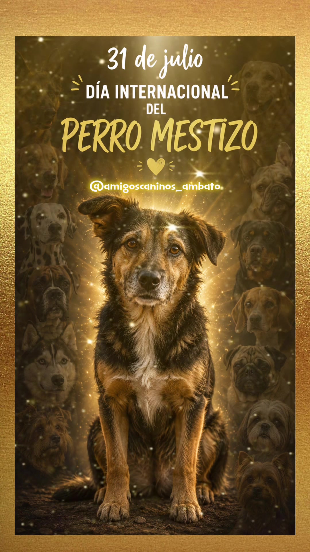 @Amigoscaninos_Ambato