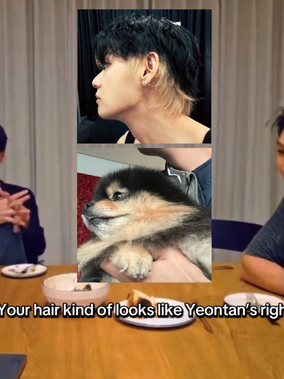 @vivi۫⁷ ꣑ৎ