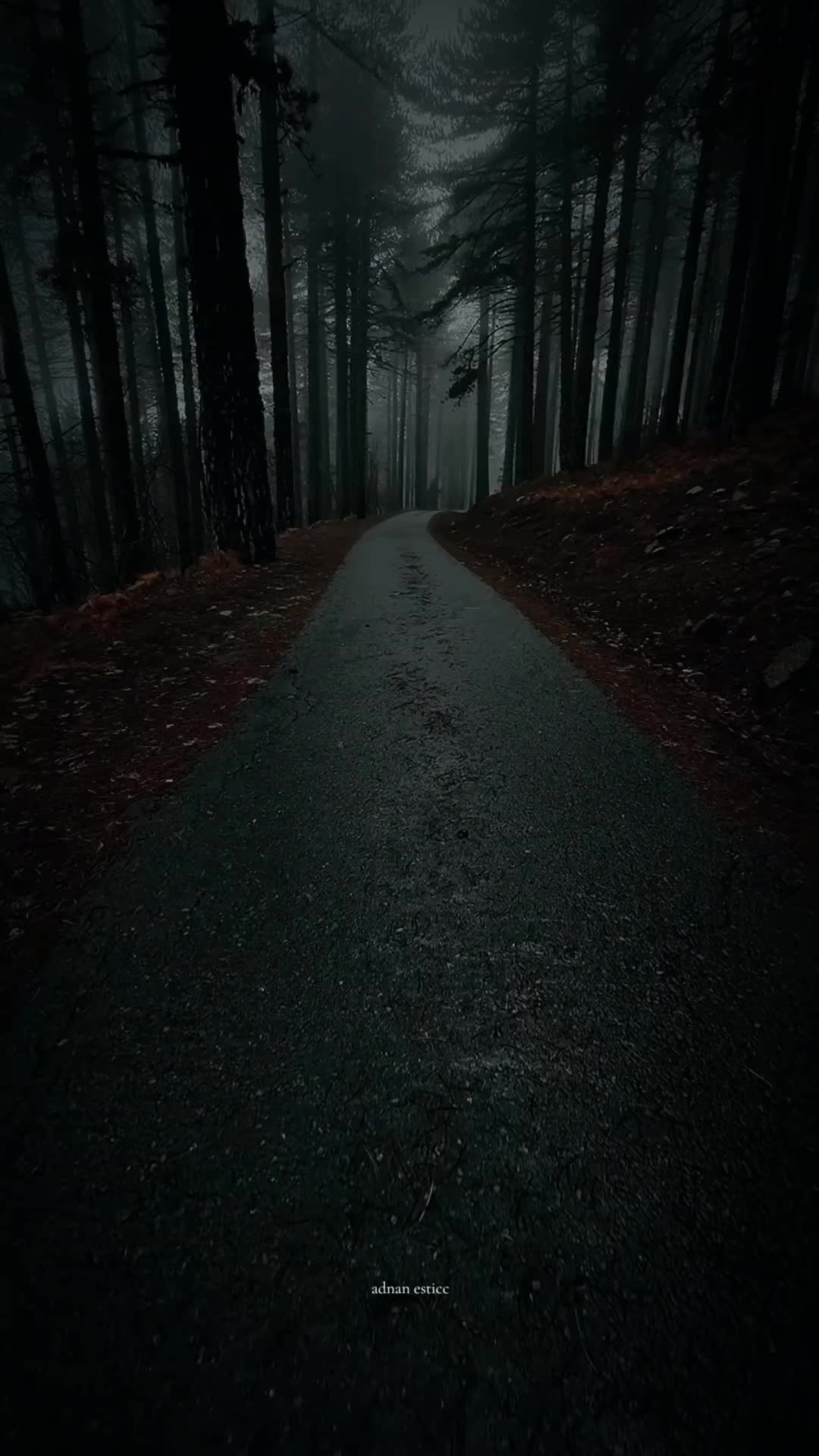 @𝘼 𝘿 𝙉 𝘼 𝙉 ❤️🔥