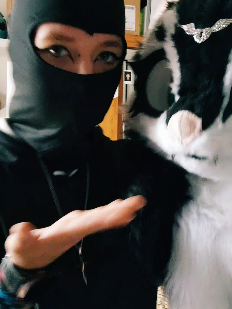 @Shysako.Fur