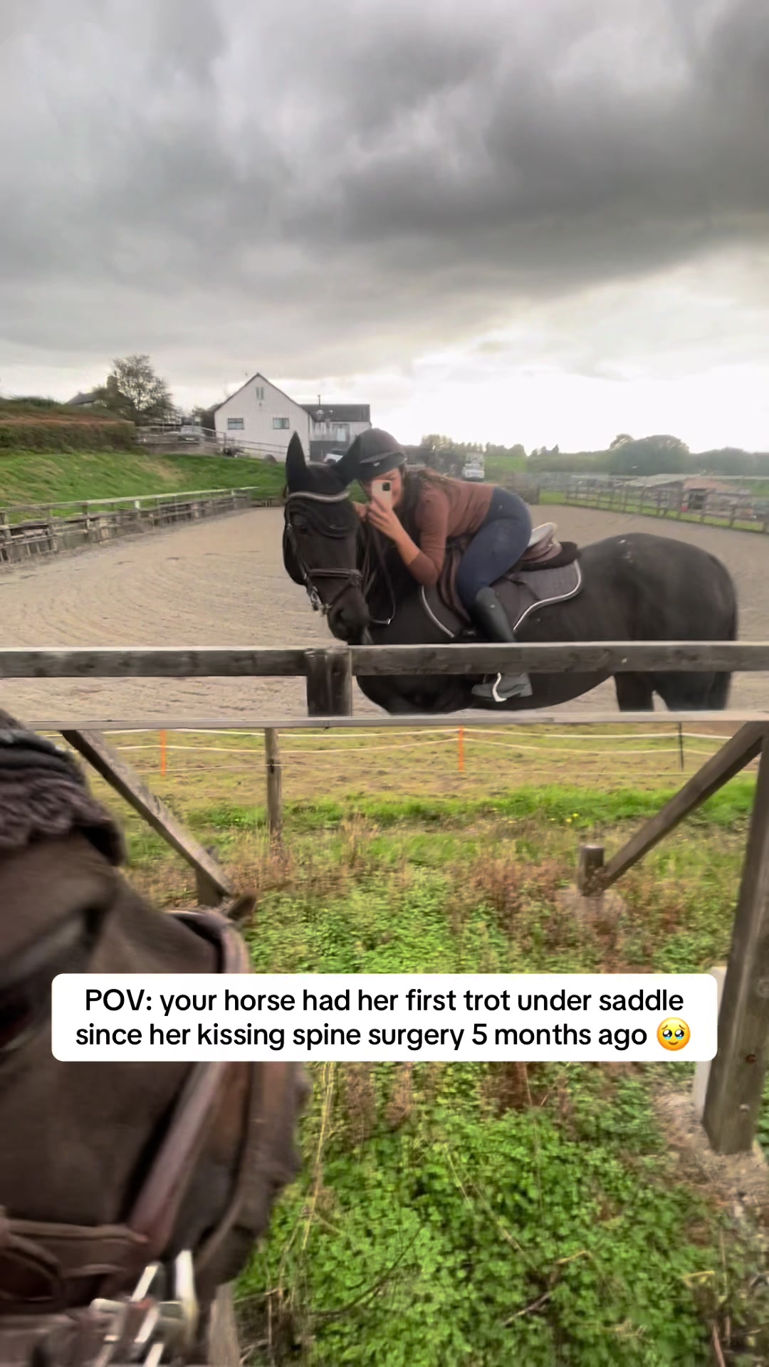 @jodiehenley