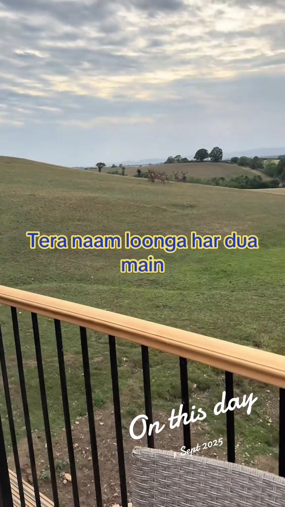 @Muzaffar Kayani
