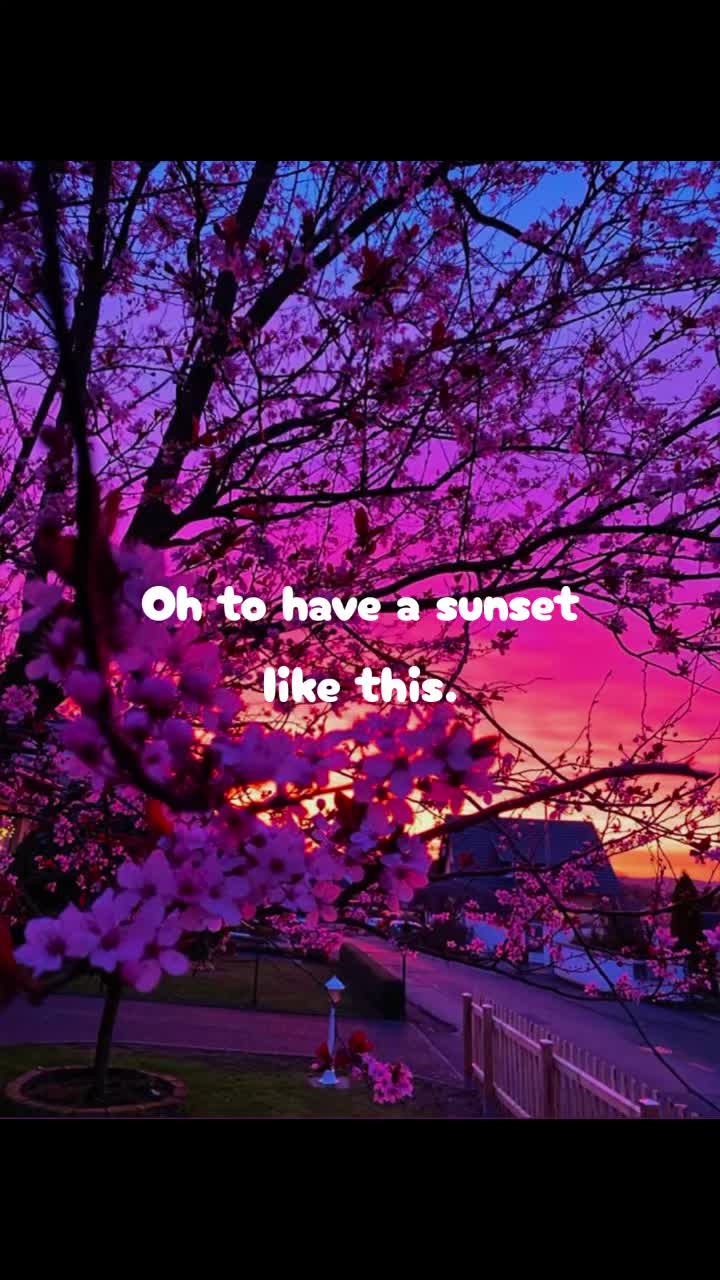 @⏤✦✰✦✰✦⏤