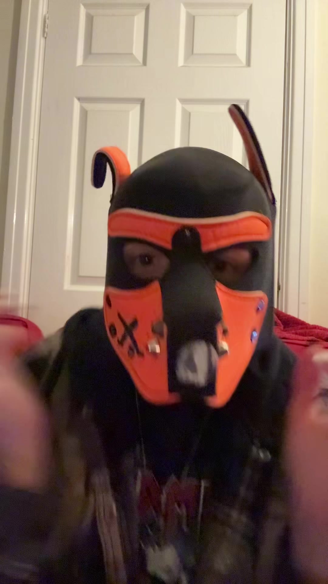 @🐾alpha Multi pup🐾🏳️⚧️