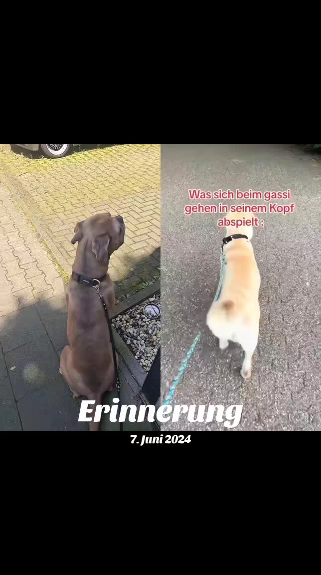 @nala23