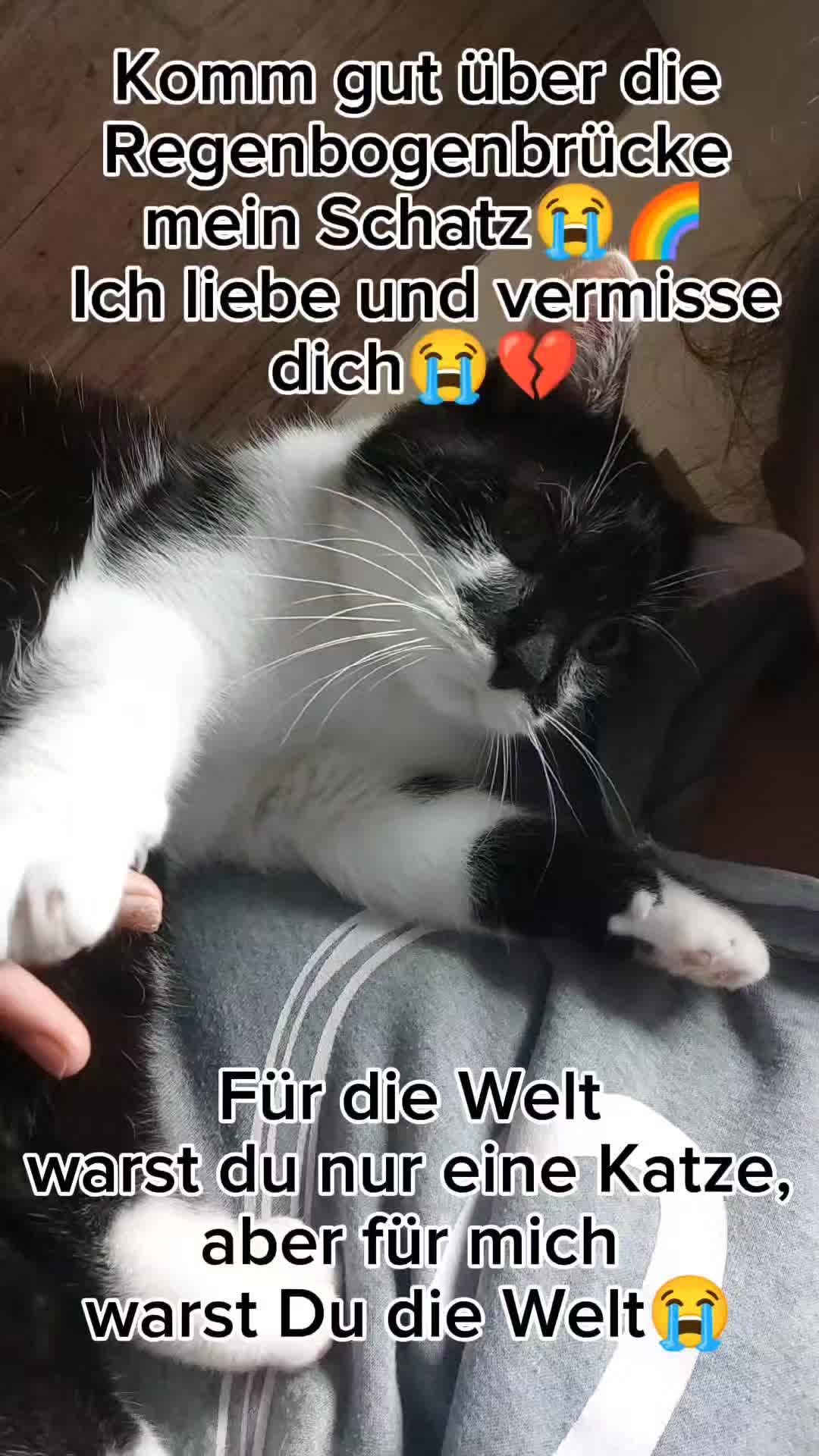 @◦&bull;❤♡ㄥ乇卂♡❤&bull;◦