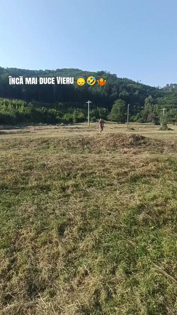 @Vieru