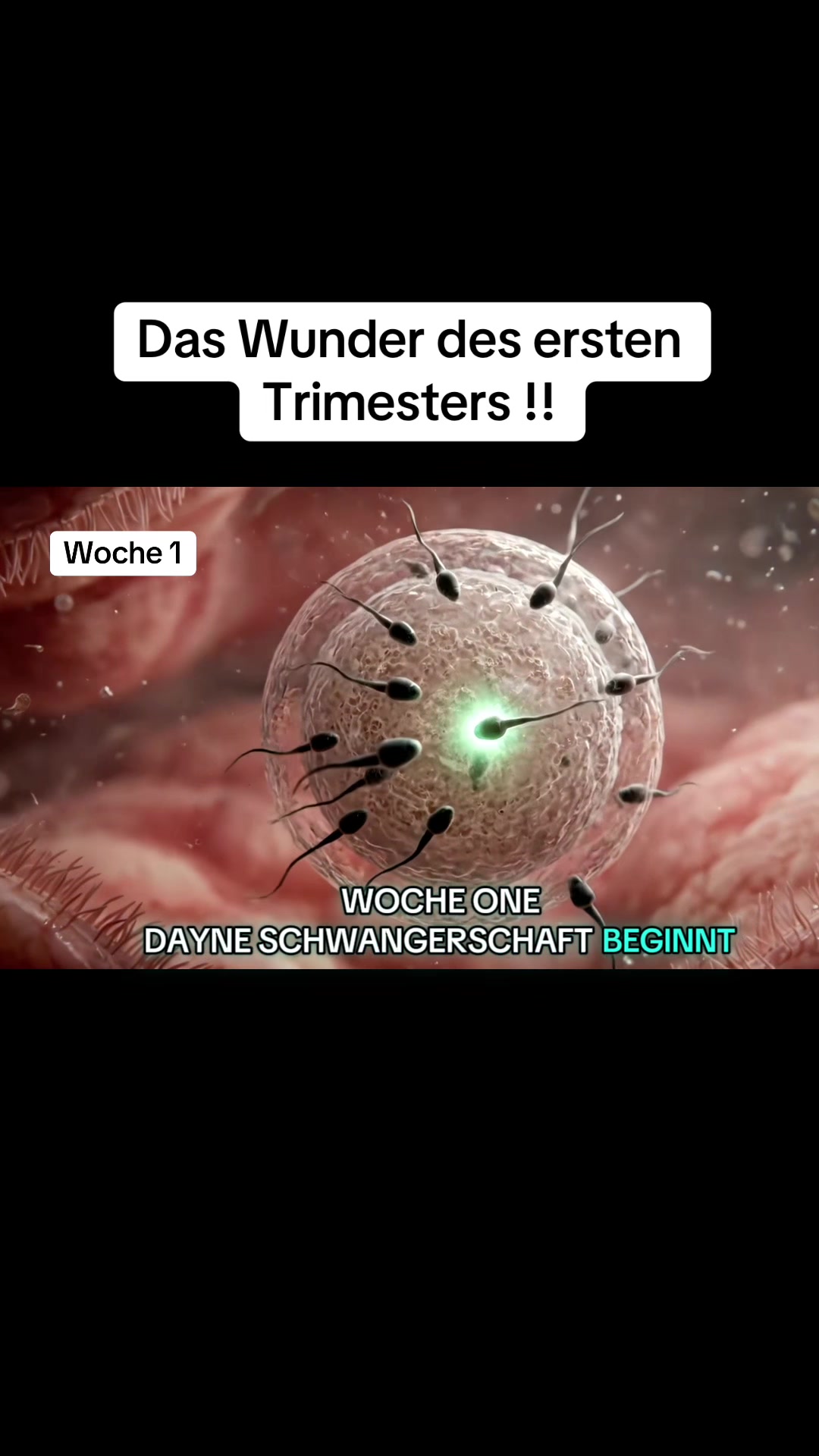 @smartdoctor