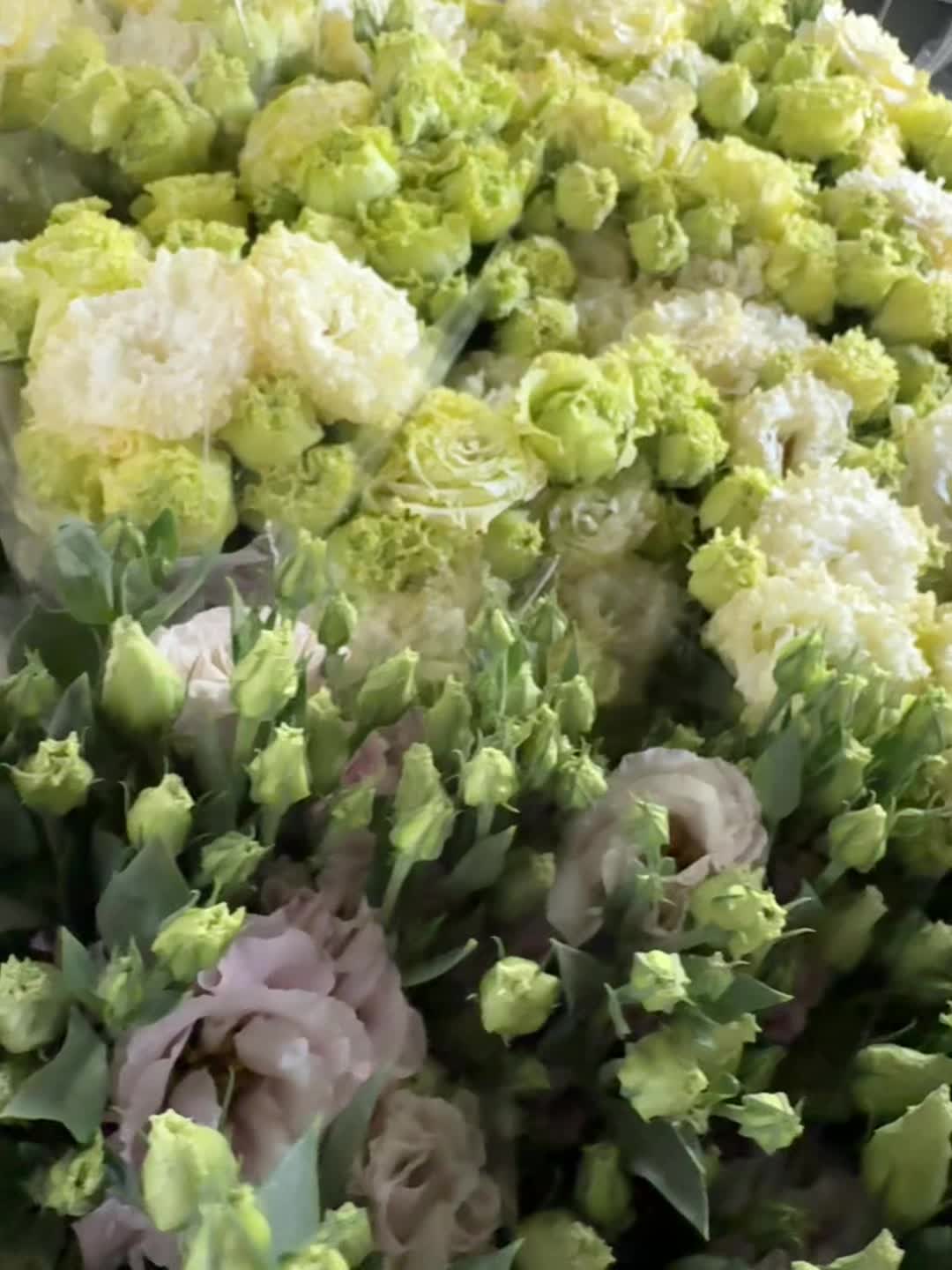 @Casconefiori